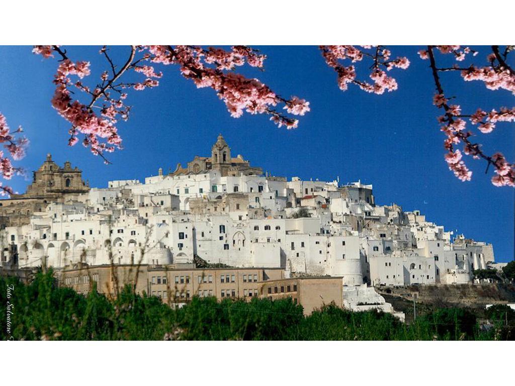 Casa Farella B&B In Suites Apartments Altamura X Matera Kültér fotó